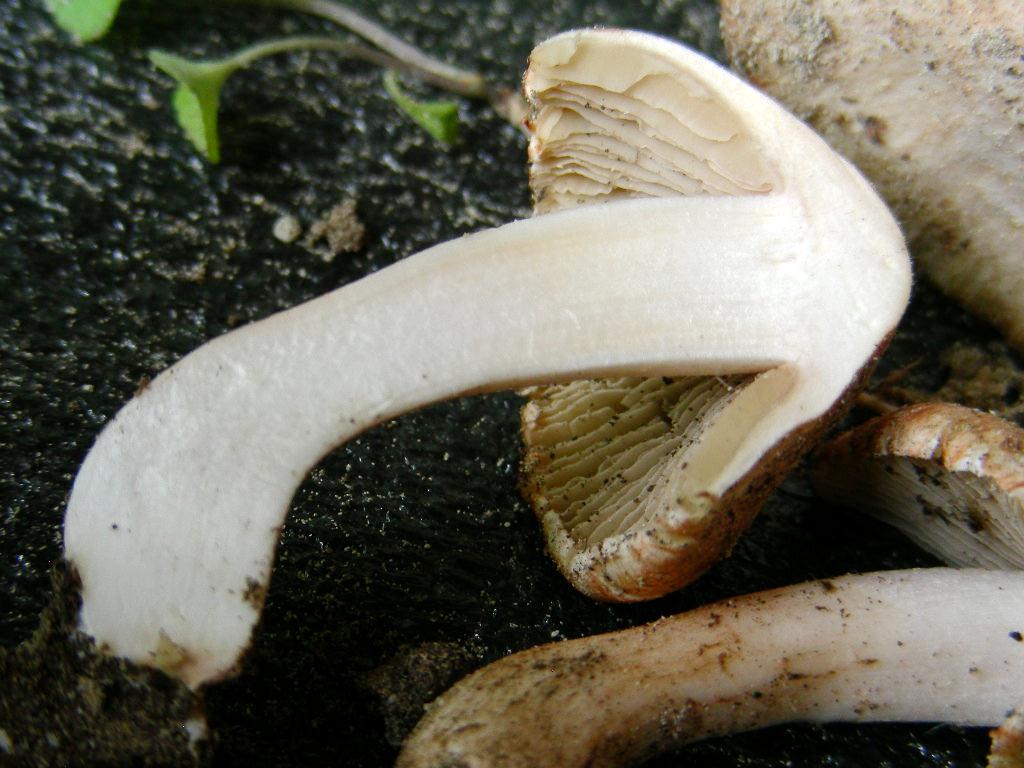 Quiz.z.z.z.z.z......